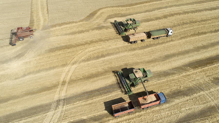 Фото - Лукашенко попросил Путина отложить 500 тысяч тонн зерна «на всякий случай»